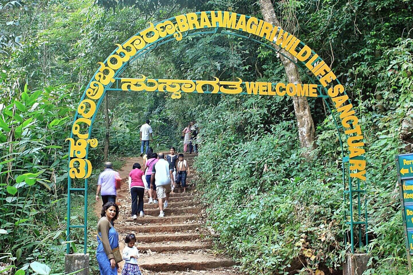 Brahmagiri Wildlife Sanctuary, Coorg
