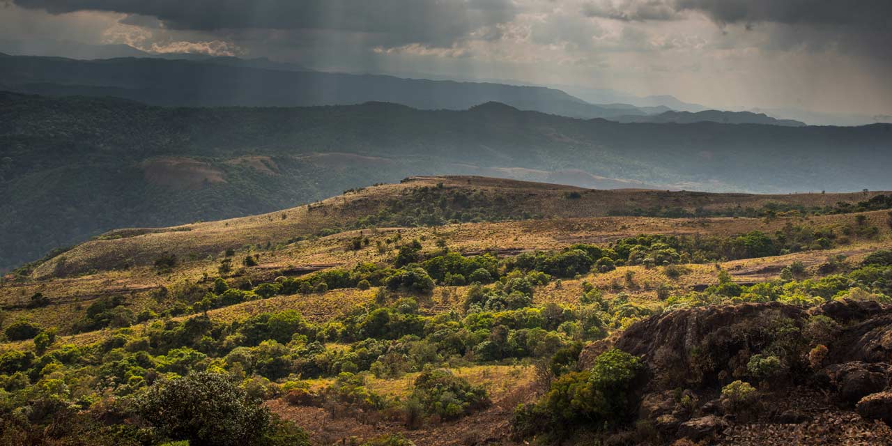 Kotebetta Trek, Coorg Tourist Attraction