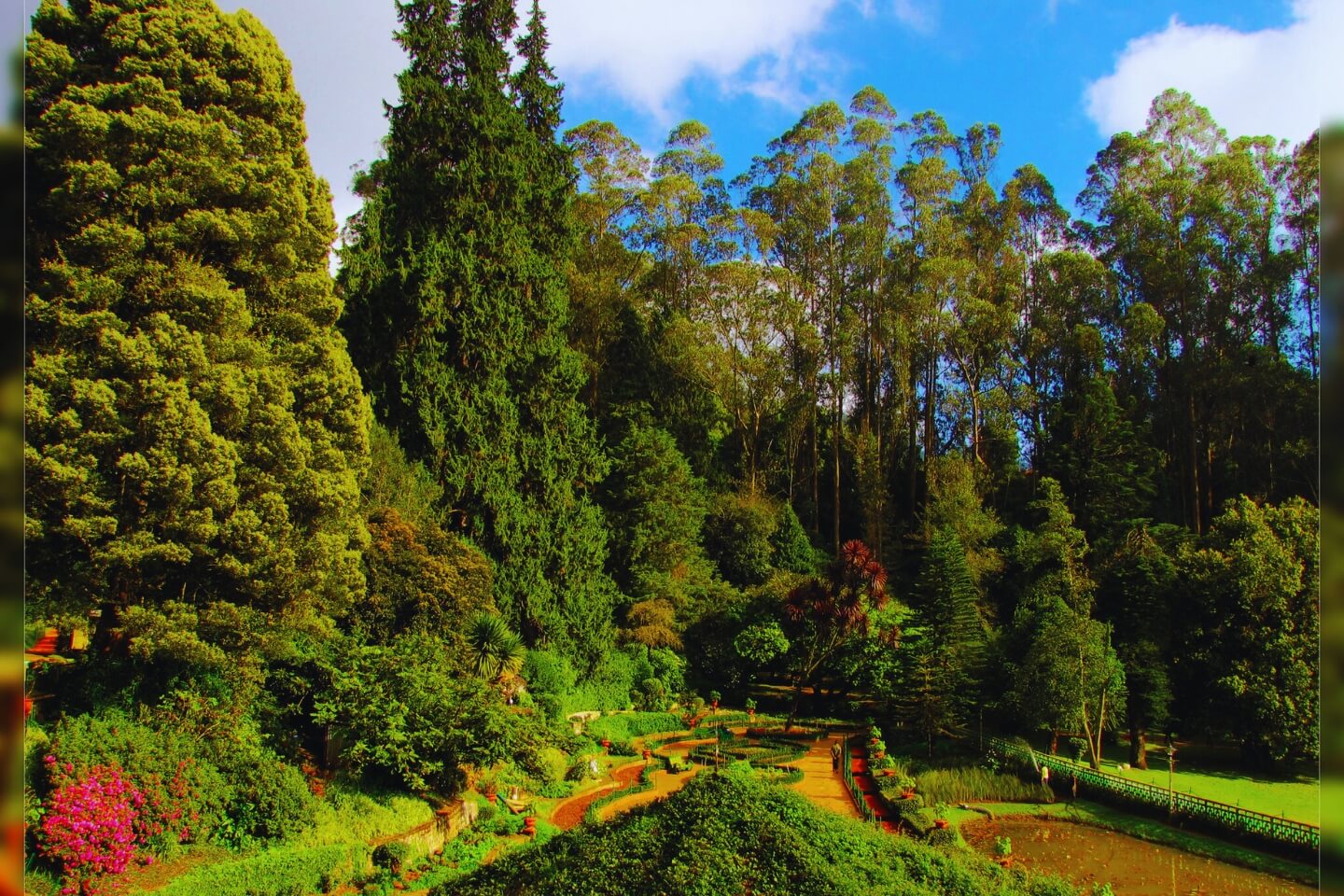 Bangalore Coorg Tour Packages with Price & Itinerary
