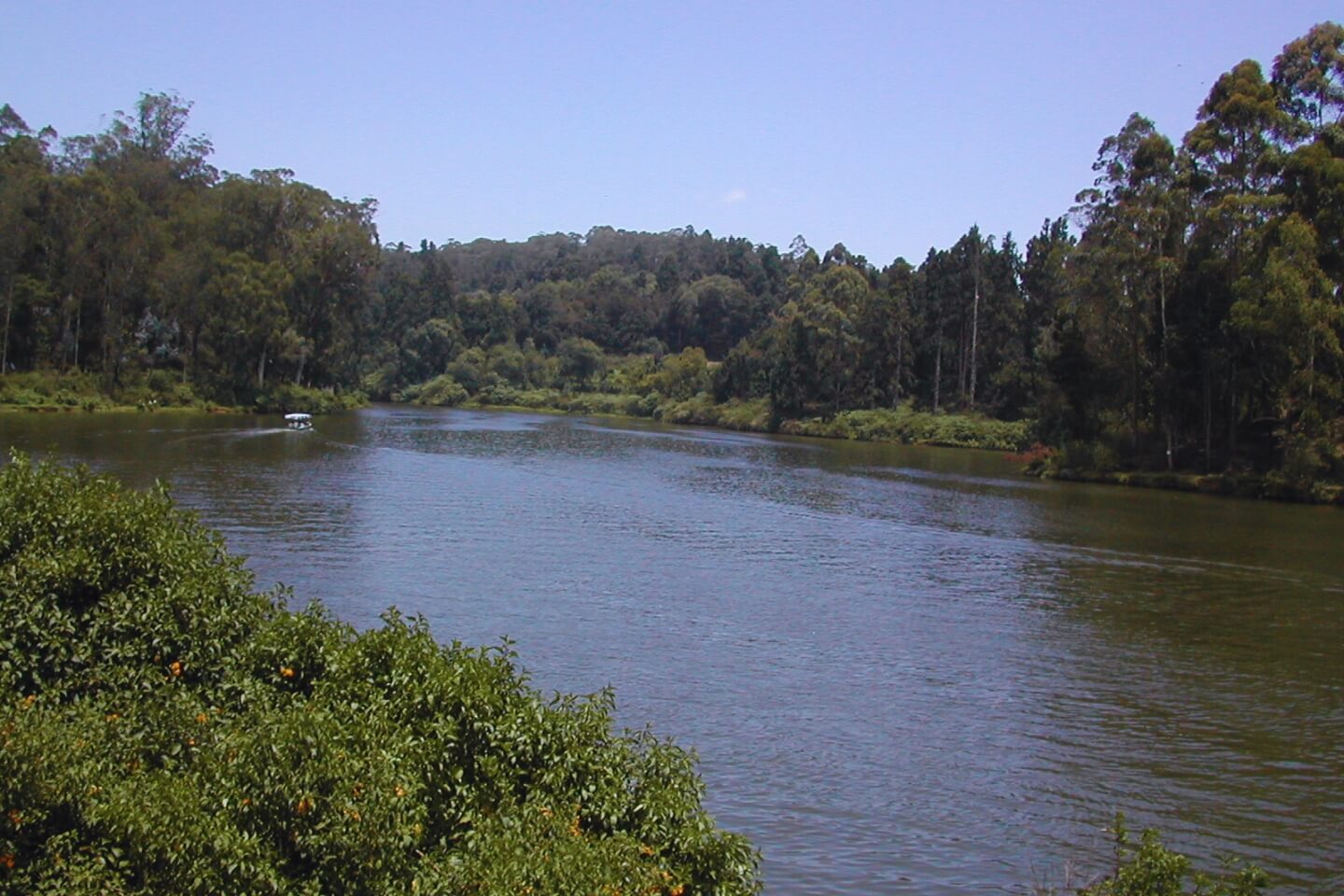 Bangalore Mysore Coorg Wayanad Tour Packages with Price & Itinerary