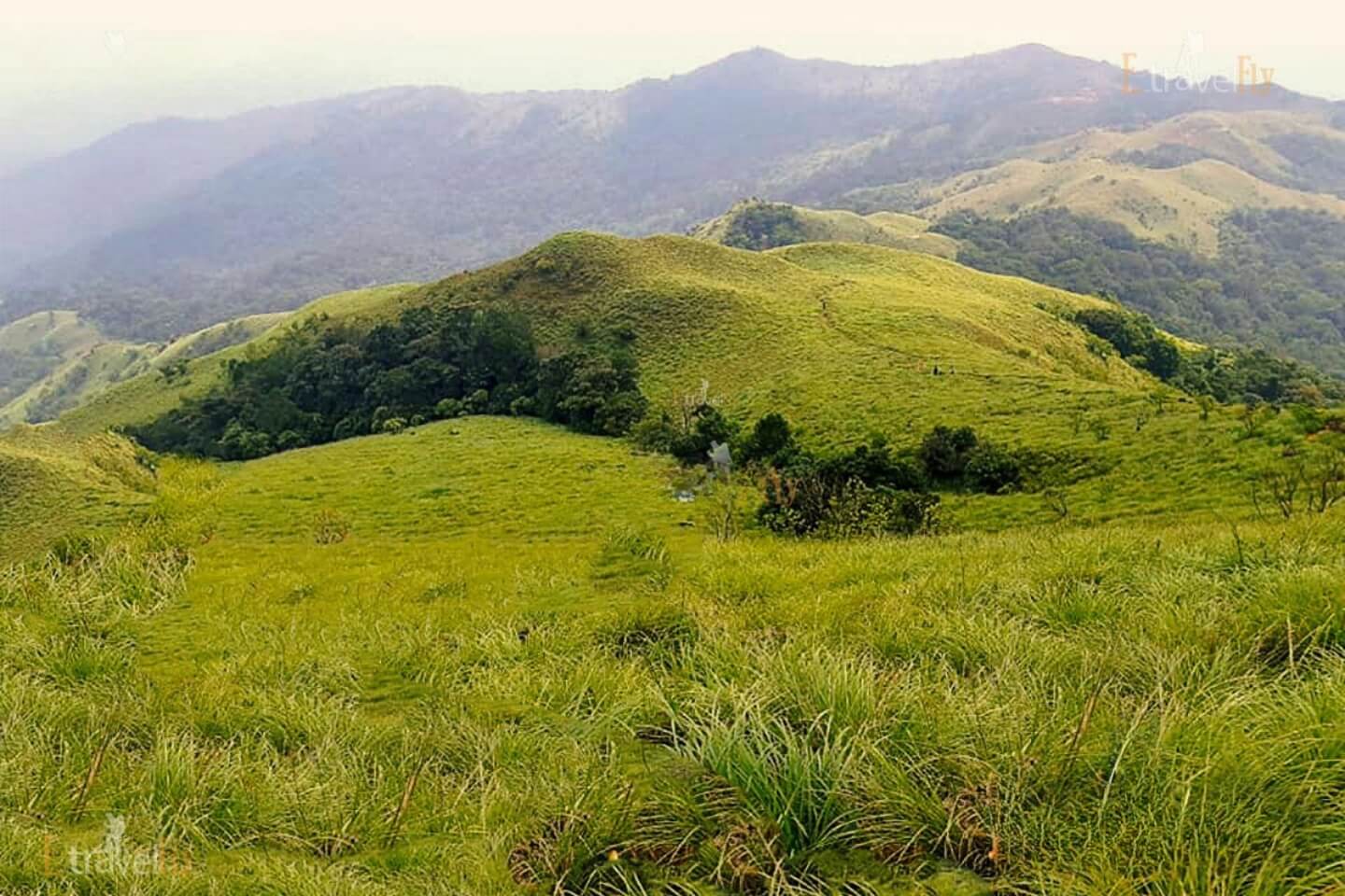 Coorg Wayanad Tour Packages with Price & Itinerary 