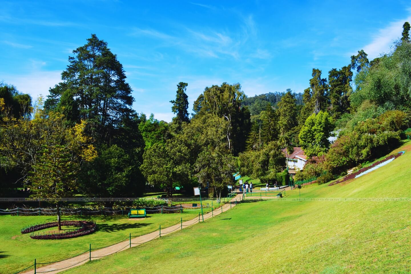 Mysore Coorg Ooty Kodaikanal Tour Packages with Price & Itinerary