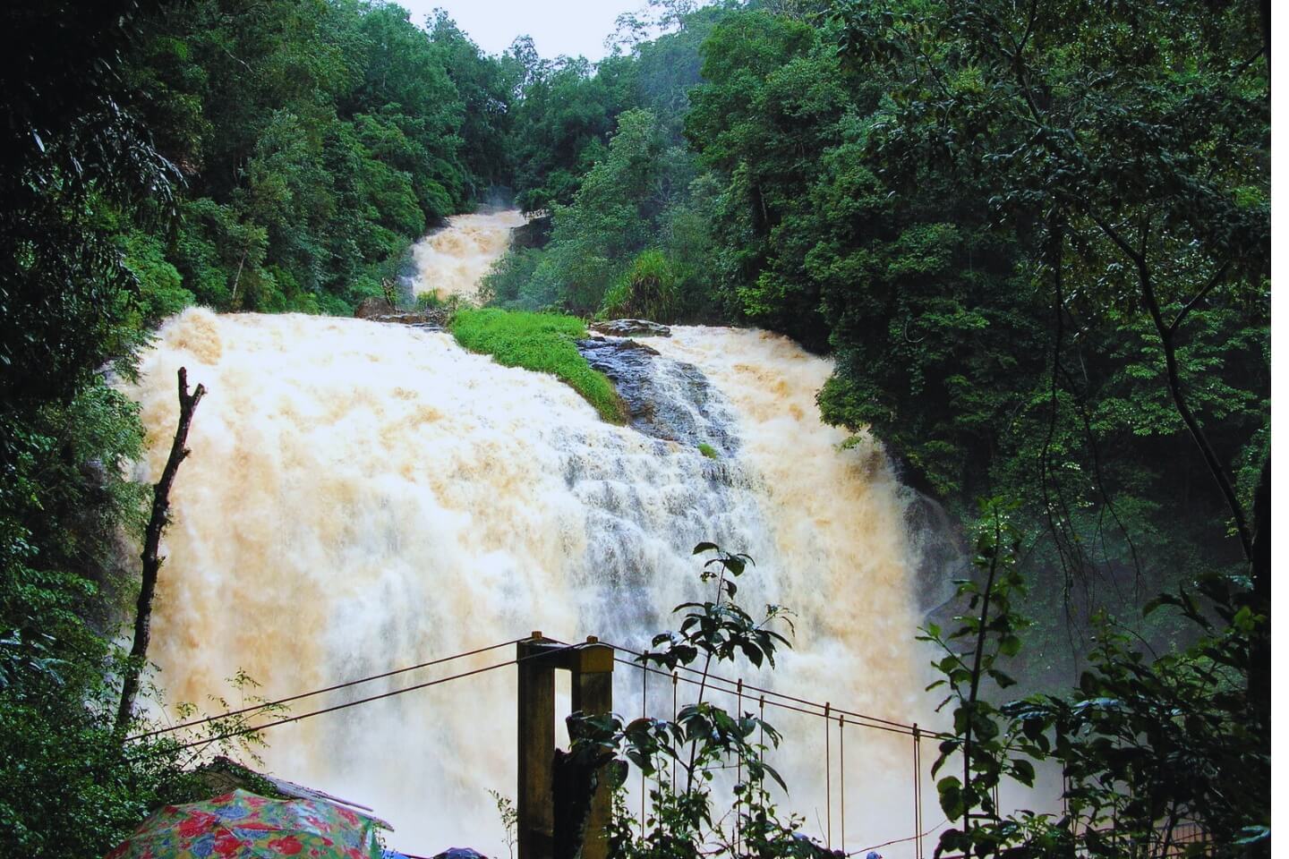 Mysore Coorg Tour Packages with Price & Itinerary