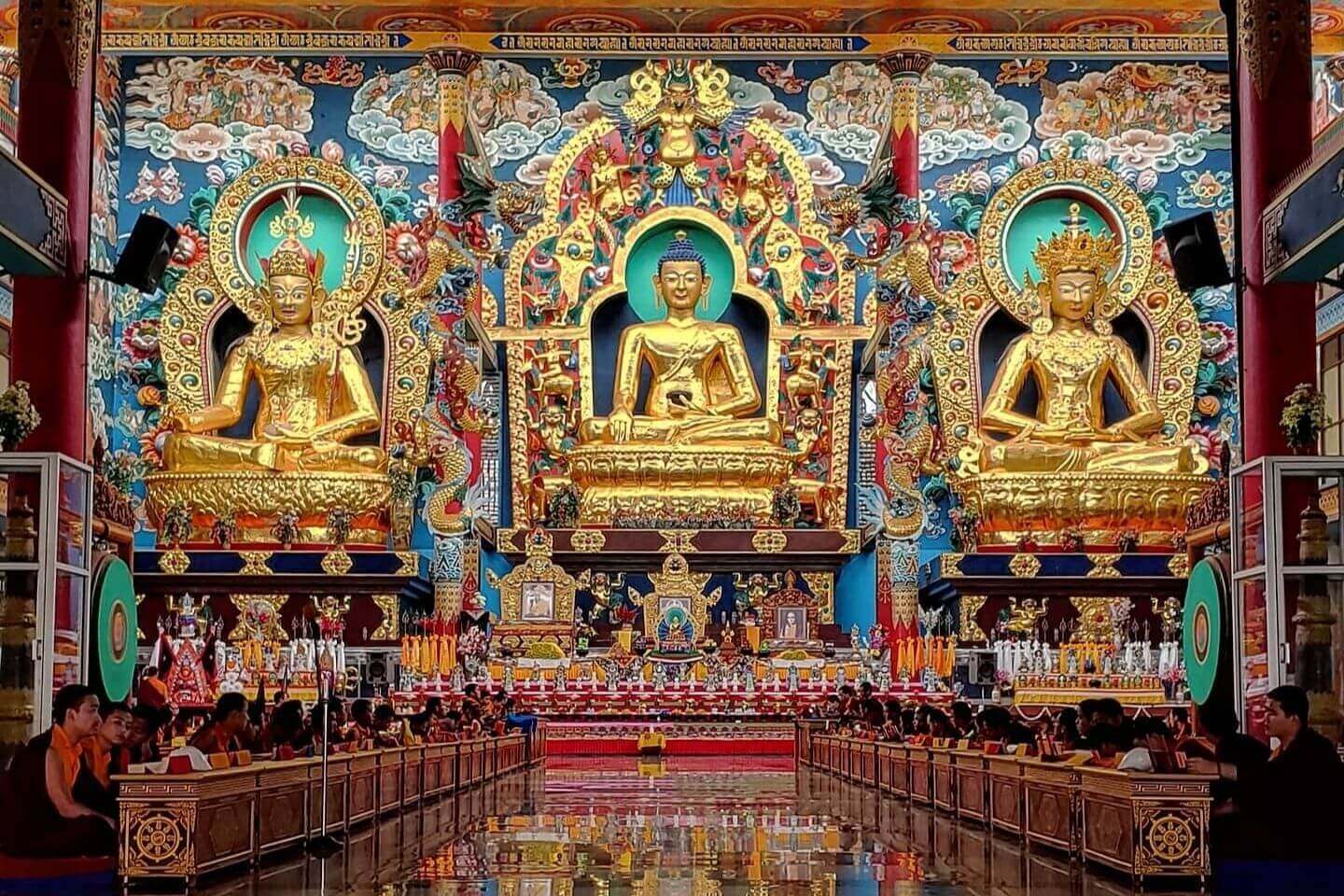 Mysore to Coorg Tour Packages, Coorg Package from Mysore with Price & Itinerary