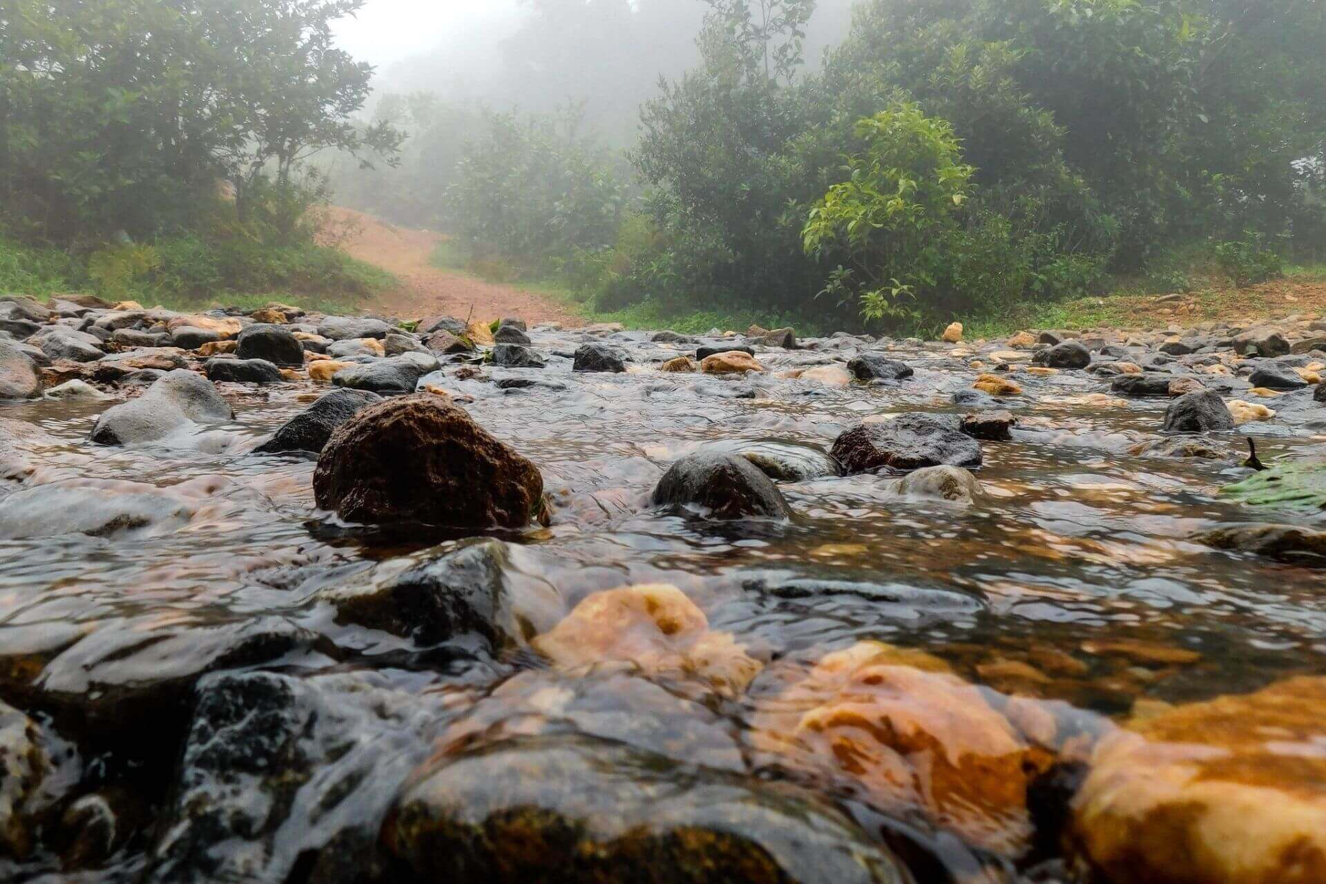 Pune to Coorg Tour Packages, Coorg Package from Pune with Price & Itinerary