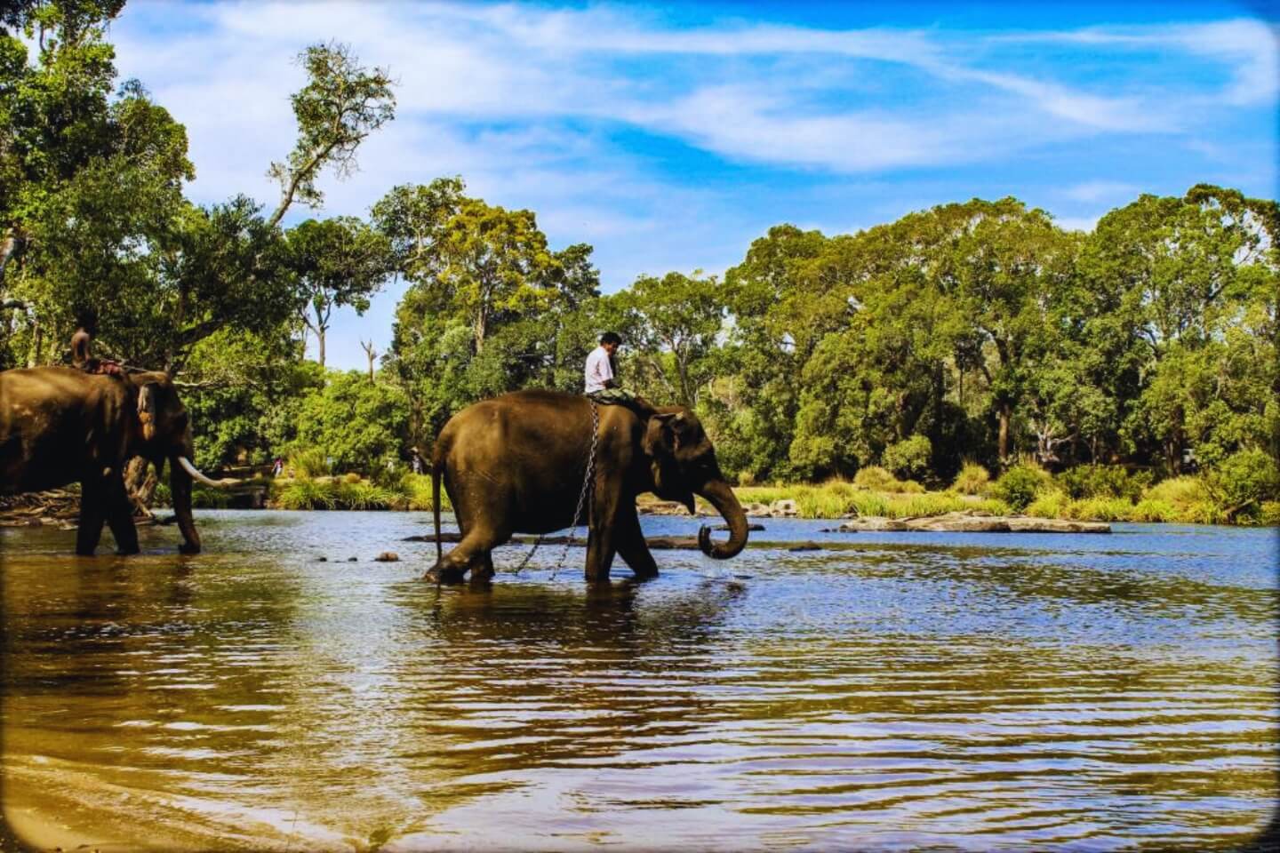 3 Days Coorg