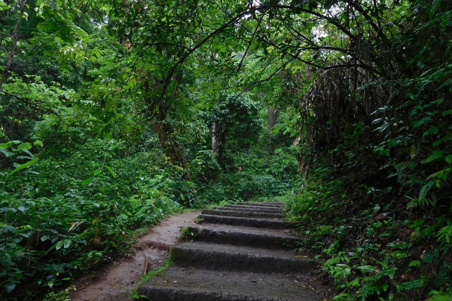 Best time to visit Coorg / Madikeri | Weather, Temperature & Season