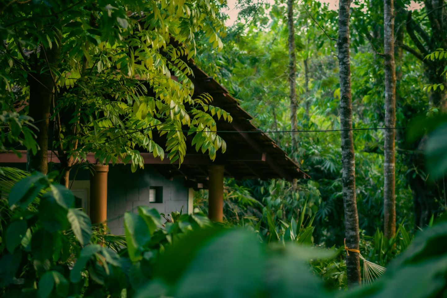 2 Days Coorg